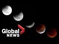 'Super Blood Wolf Moon' time lapse