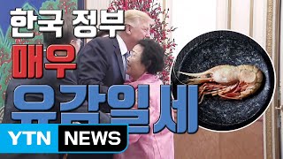 [자막뉴스] 일본, 이용수 할머니와 독도새우에 '발끈' / YTN