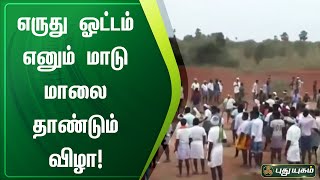 எருது ஓட்டம் எனும் மாடு மாலை தாண்டும் விழா | கரூர் | செய்தித் துளிகள் | PuthuyugamTV