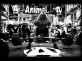 Powerlifting - I love powerlifting