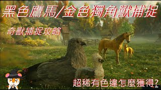 【霍格華茲的傳承】色違獨角獸/色違鷹馬捕捉方式+畫面 輕鬆獲得星號(色違)奇獸 哈利波特獨角獸/鷹馬所有種類一次展示給你看~~