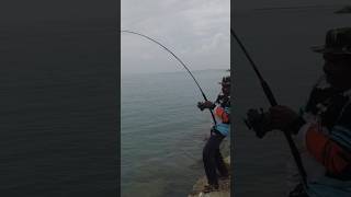 Cat Fishing Tamil Nadu | #fishing