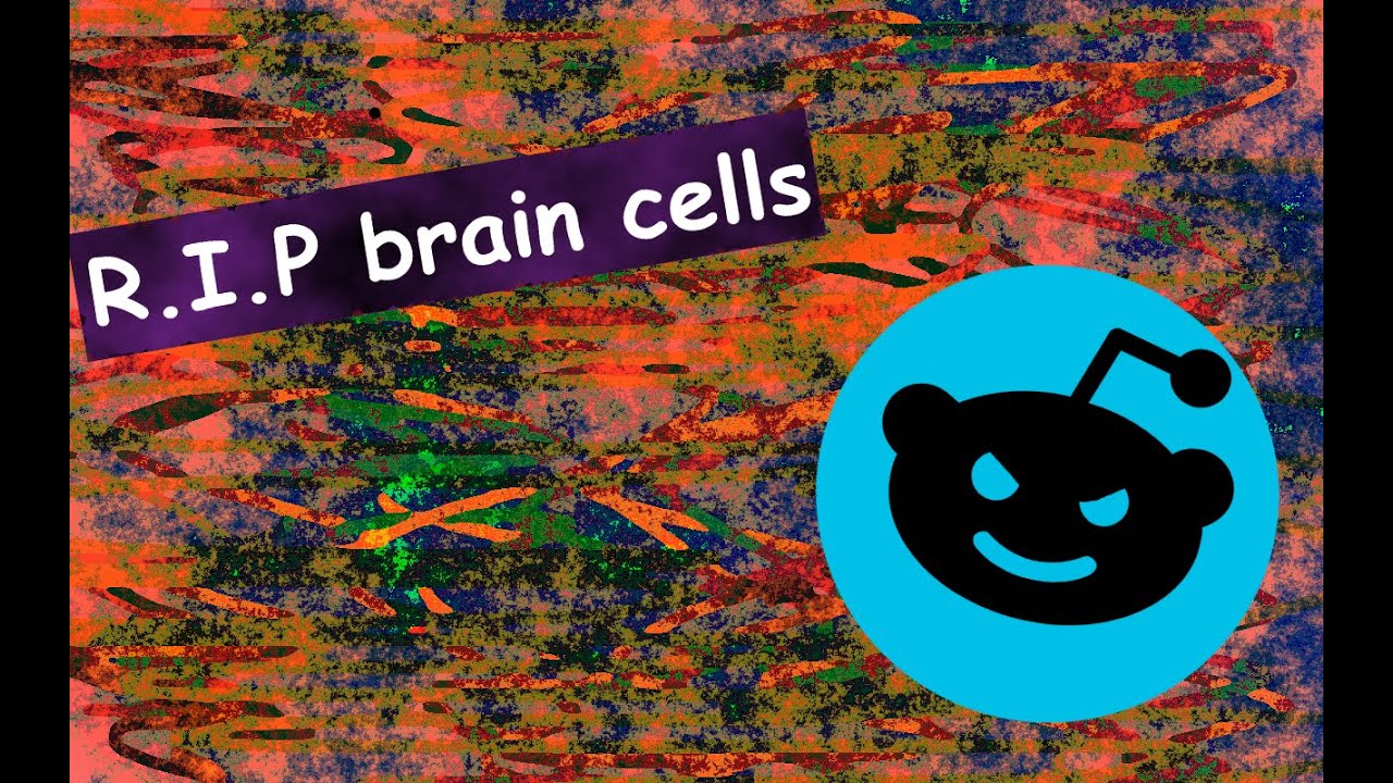 Loosing Brain Cells From Reddit Youtube