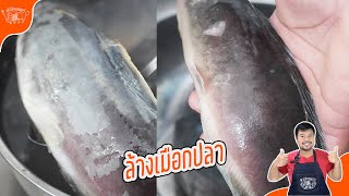 Are You Making This Common ล้างปลาไม่ให้คาว Mistake that's Ruining Your Meal?