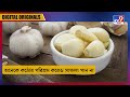 garlic এক কোয়া রসুনেই ফিরবে ভাগ্য