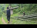 orphan boy 2: cut bamboo alone to fence the vegetable garden