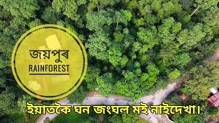 JEYPORE Rainforest | অসমীয়া Detailed vlog | DRONE SHOTS | DEHING PATKAI