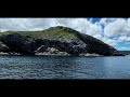 whale watching tour iceberg quest st.john s newfoundland