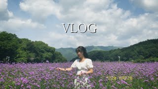 [여행 VLOG] 기숙사 룸메들과 함양 여행 브이로그🌿ㅣ힐링 여행ㅣ여행 브이로그