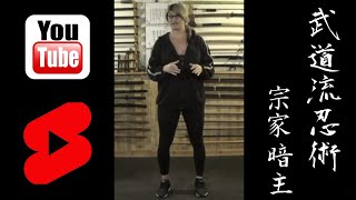 HOW TO PROPERLY TRAIN FOR SELF DEFENSE | Ninjutsu Martial Arts Training Techniques