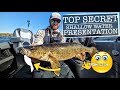 TOP SECRET Shallow Water Walleye Lure!