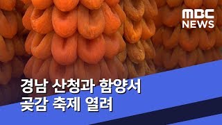 경남 산청과 함양서 곶감 축제 열려 (2020.01.03/뉴스투데이/MBC)