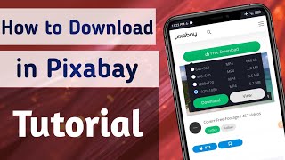 How to Download Photos \u0026 Videos in Pixabay App