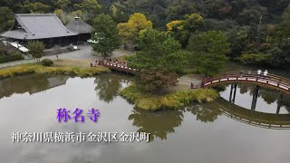 「称名寺」　神奈川県横浜市金沢区金沢町　2020年11月8日（日）