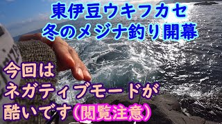 【東伊豆】ウキフカセのメジナ釣り・シーズンイン【2021年12月下旬】