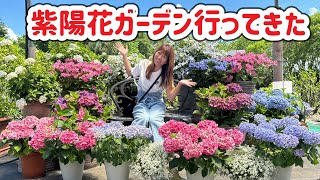 紫陽花ガーデン見てきたよ☆お花☆ガーデング好き☆お花大好き☆お花Vlog☆YouTube初心者