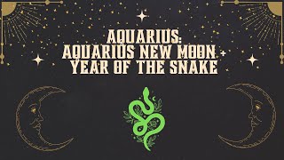 ♒️ Aquarius: AQUARIUS NEW MOON + YEAR OF THE SNAKE  #astrology