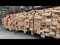 【4k】yushimatenjin shrine tokyo march 2021【東京 台東区 湯島天神 】