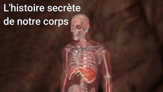 L'histoire Secrète de Notre Corps​​​​​​​ | Documentaire