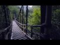 nature sound in 4k ultra hd 奥祖谷二重かずら橋／徳島