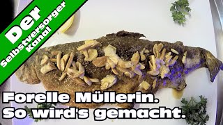 Forelle Müllerin  So macht es der Fachmann