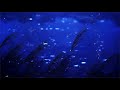 Maher Zain - For the rest of my life (Vocals only) Slowed