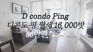 치앙마이 한달살기 숙소 발품 | 50만원대 D condo Ping (디콘도 핑, 디콘도 캠퍼스, 디콘도 사인 집을 구하는 방법)