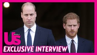 Prince William Jealous of Prince Harry Current Success? Royal Expert Weighs In