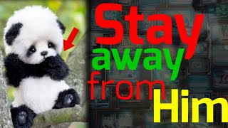 CUTE Animals That Can KILL You.(panda 🐼 bear).#dangerous animal.#10.#short.