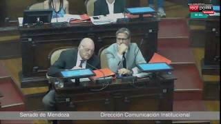 🔴 El Senado de Mendoza trata la derogación de la Ley de Minería