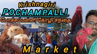 POCHAMPALLI SEVAL MARKET | KRISHNAGIRI SEVAL MARKET | POCHAMPALLI MARKET | போச்சம்பள்ளி கோழி சந்தை