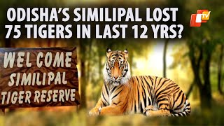 Odisha’s Similipal Tiger Reserve Lost 75 Tigers In 12 Years, Latest Census Report Awaited