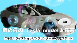 雨の日のTesla model３無料充電【二子玉川ライズショッピングセンターEVスタンド】