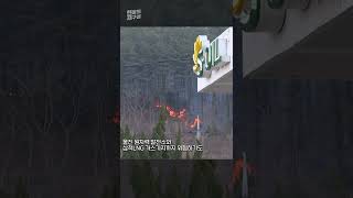 [현장의재구성] 민가를 삼켜버린 불길 #Shorts / 연합뉴스TV (YonhapnewsTV)