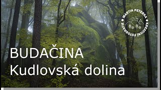 Jak na focení mlhy v lese, Budačina - Kudlovská dolina