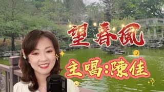 一首好聽閩南歌曲～陳佳主唱 (望春風) 中譯卡拉ok 歌詞版