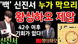 천하무적 '백' 신진서! 누가 막으리~ 왕싱하오에게 쓴 맛을 선사하다! [신진서 9단 VS 왕싱하오 9단 한중슈퍼매치 하이라이트 2023-09-13] #바둑 #신진서 #한중슈퍼매치