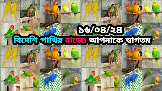 বিক্রি হবে সীমিত দামে পৃথিবীর নামি দামি সব জনপ্রিয় শৌখিন পাখি ১০০% ডিম বাচ্চা গ্যারান্টি সহ।