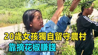 父母外出打工，20歲女孩獨自留守農村，全靠摘花椒賺錢【我是王軍啊】