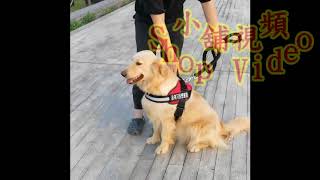 【小舖視頻】小中大型犬 寵物 胸背帶 防爆衝 馬鞍型 牽繩 牽引繩 狗鍊 狗鏈