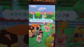 #ポケ森#フィナーレ花火