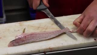 Filleting a flathead