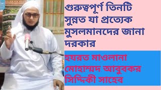 তিনটি গুরুত্বপূর্ণ  সুন্নত আমল(Abu bakor Siddique)