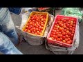 25 अप्रैल 2022 मथुरा मंडी सभी सब्जियों के होलसेल भाव mathura mandi vegetables fruit market place