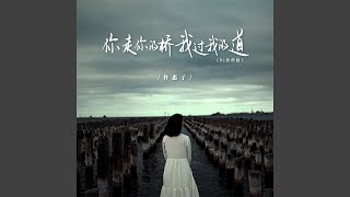 你走你的桥我过我的道 (Dj浩然版)