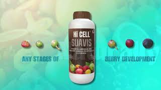 Hi Cell Suavis | Advanced Crop Solution | Hi Cell Crop Sciences | Crops