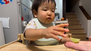 【1歳11カ月】シャインマスカットを食べるりっくん [1 year and 11 months old] Rikkun eating a Shine Muscat.