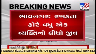 ભાવનગર: રખડતા ઢોરે વધુ એક વ્યક્તિનો લીધો જીવ, ભોજપરા ગામમાં રખડતા ઢોરે વૃદ્ધનો લીધો જીવ | TV9News