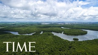 Norway Threatens To Cut Funds To Brazil Unless Deforestation In The Amazon Slows Down | TIME