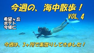 今週の海中散歩！（スキンダイビング）　VOL.4